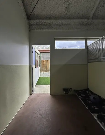 A wide view of the deluxe dog suite showing a grassy outside courtyard and comfortable dog beds