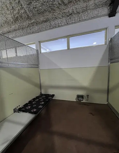 A deluxe dog suite showing two off the ground dog beds at Welcome Dog Kennels and Cattery