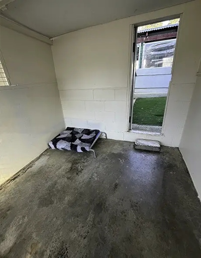 A spacious dog resort room designed for small dogs showing a grassy outdoor courtyard at welcome kennels and cattery in Melbourne