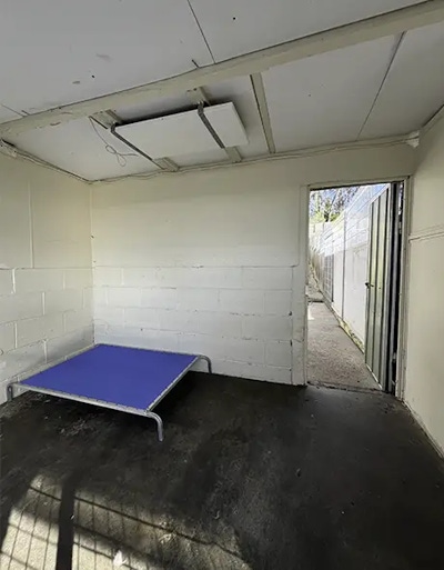 The dog resort room with a roof heater and trampoline bed at Welcome Kennels