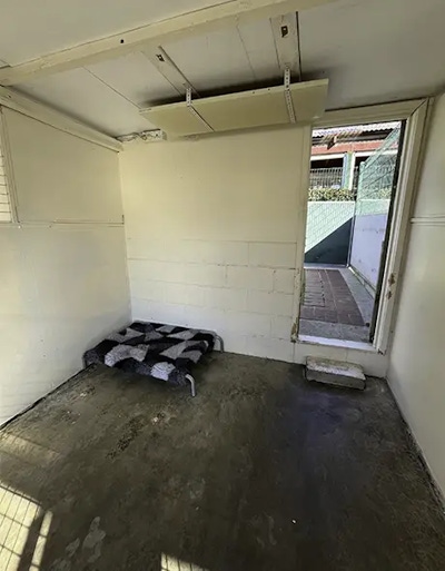 A small dog resort room with heater and outdoor courtyard at Welcome Kennels and Cattery