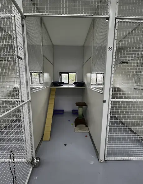 A spacious cat accommodation suite at Welcome Boarding Kennels and Cattery
