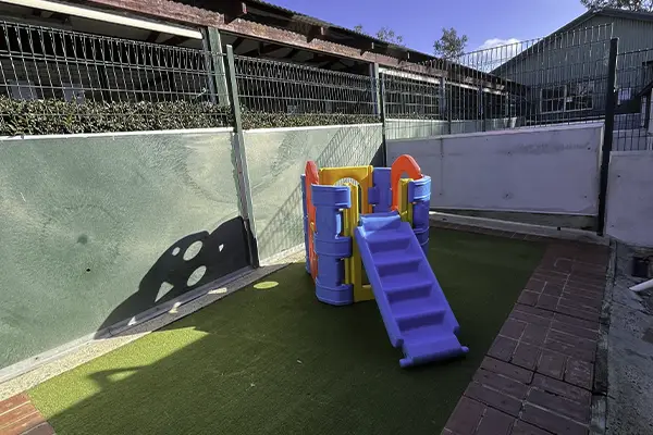 Resort room backyard for small dogs at Welcome Kennels, Melbourne
