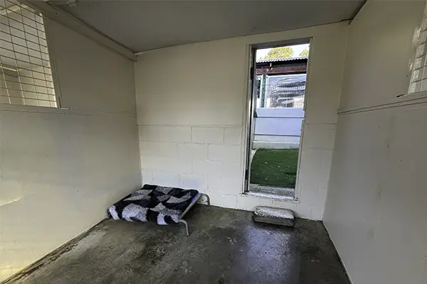 a small dog resort room at Welcome Kennels and Cattery Melbourne
