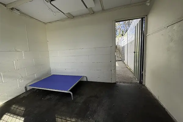 Large dog resort room with heating