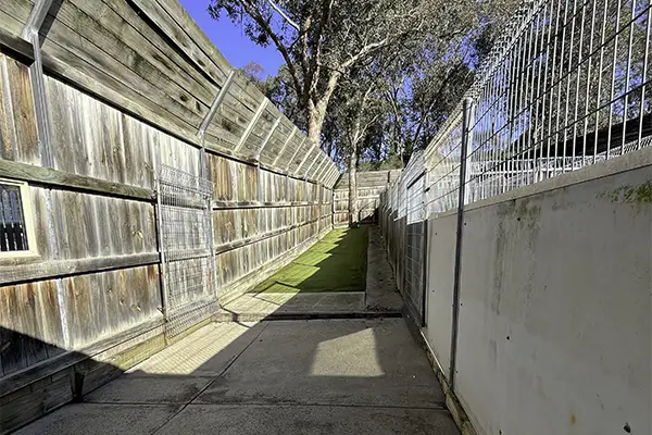 Resort Room backyard Welcome Kennels and Cattery Melbourne