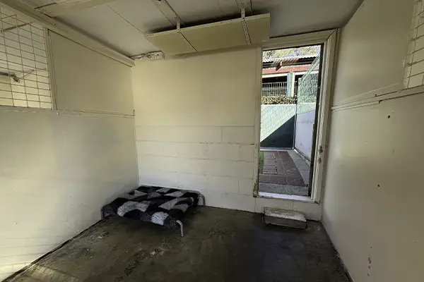 Dog Resort Room with Heating at Welcome Kennels and Cattery