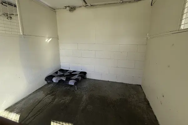 dog guest room with heater