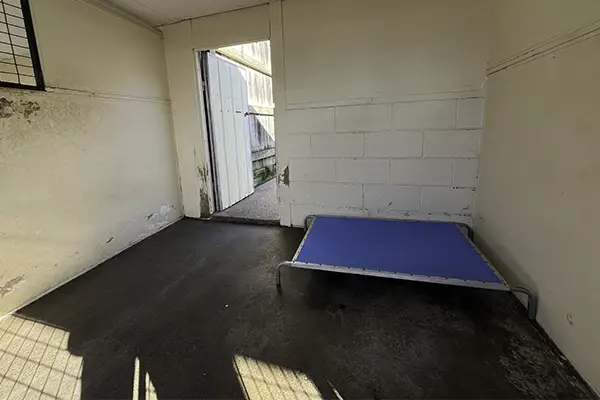 Dog Resort Room Welcome Kennels and Cattery Melbourne