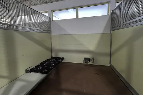Deluxe Suite Social Room