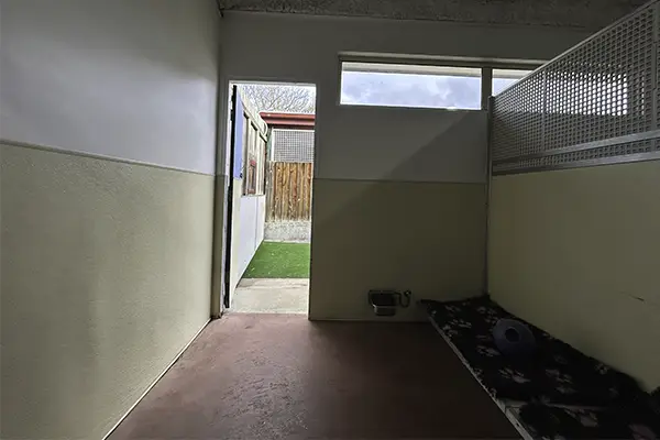 Deluxe Dog Suite with Courtyard