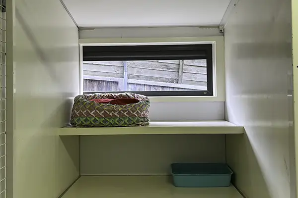 Guest Suite for Cats