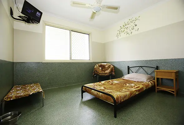 Luxury Dog Boarding Room Brisbane