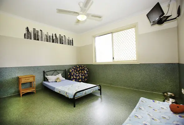 Luxury Dog Boarding Room in Samford