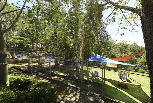 Outside yard for luxury dog boarding in brisbane
