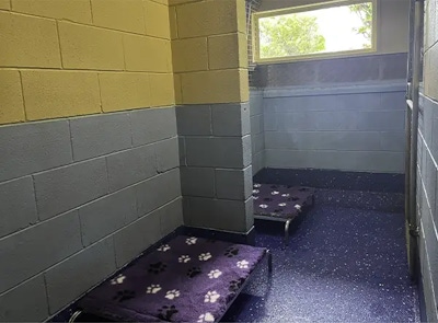A social guest room with two dog beds at Samford pet Resort