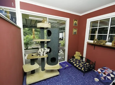 A luxurious cat suite at Pet Resorts Australia Samford featuring a soft black bed, and a large cat climbing pole creating a hotel-style atmosphere for feline guests.