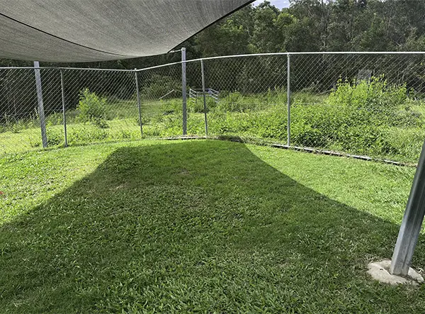 Outside Yard Resort Room
