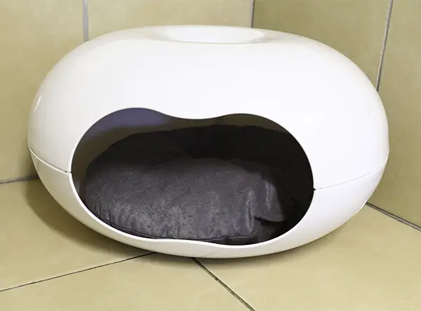 Close up pod bed Pet Boarding Brisbane