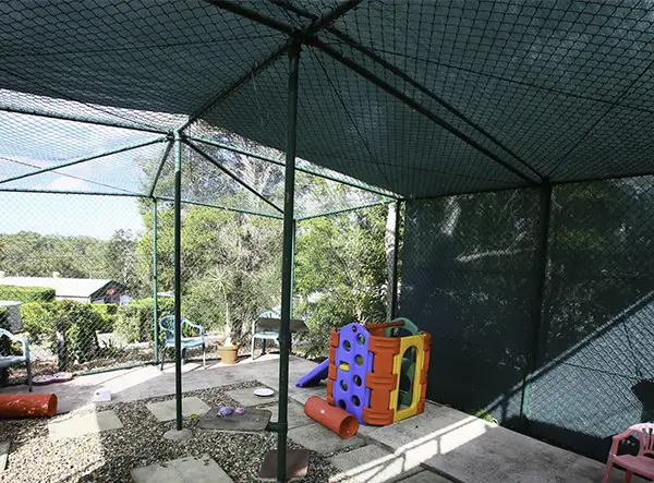 Play area for cats Samford
