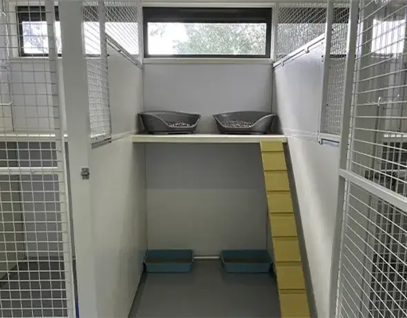 Cat Resort Room Welcome Kennels and Cattery