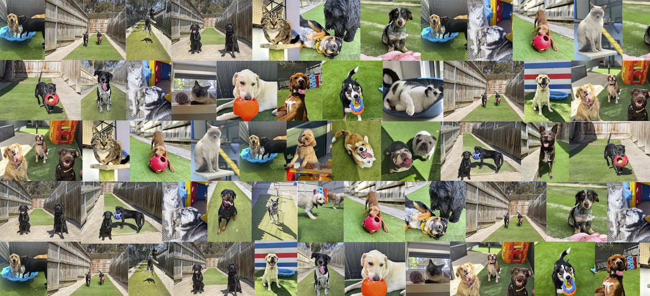 Welcome Boarding Kennels & Cattery