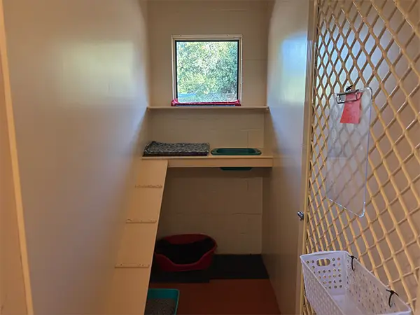 Avonlee Lodge Cat Guest Room
