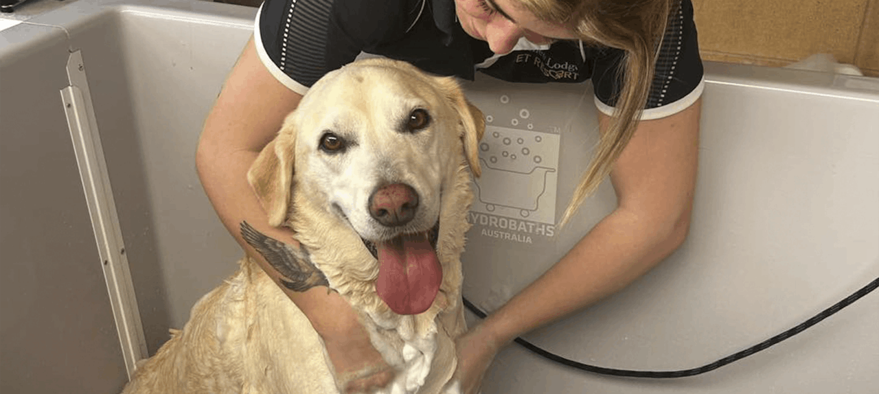 Personalised Guest Services for the Ultimate Pet Stay