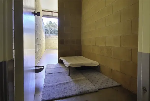 Guest Room Social, Avonlee Pet Resort