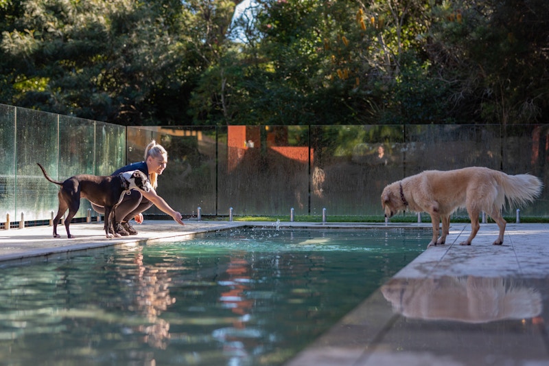 Terrigal Outdoor Dog Pool