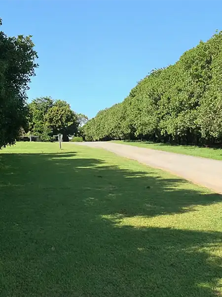 Avonlee Lodge Pet Resort Dalwood Road Near Alstonville