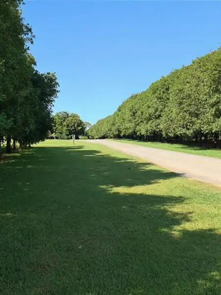 Why Choose Avonlee Lodge Pet Resort?