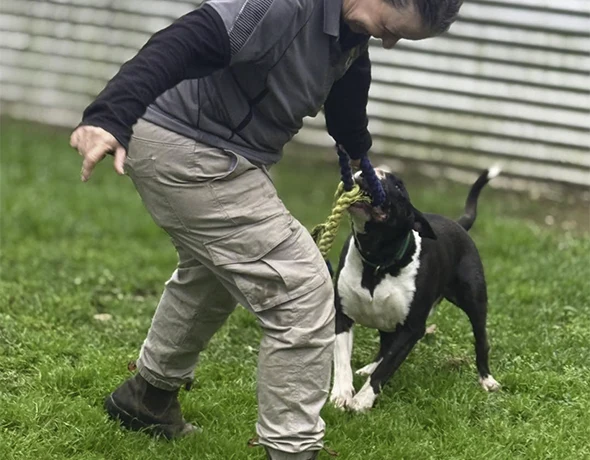 Carer and dog at TLC Pet Care Coffs Harbour