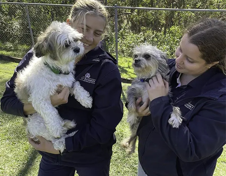 Two happy dogs enjoy snuggles with professional pet sitters near Samford