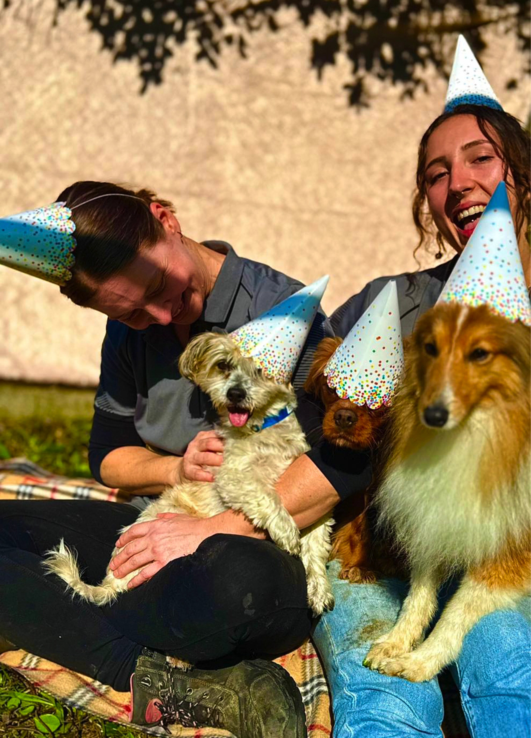 Why Choose TLC Pet Care?
