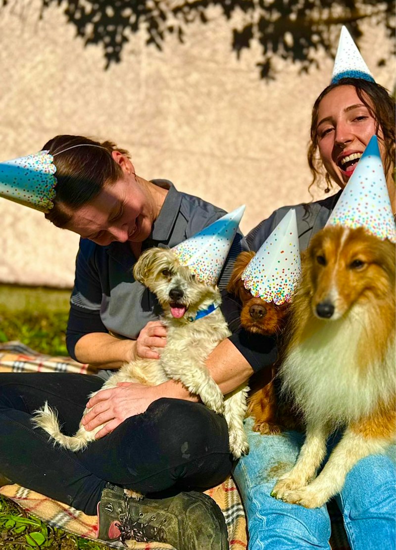 Why Choose TLC Pet Care?