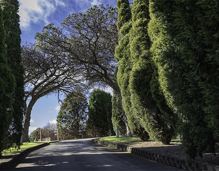 Pet Resorts Australia Southern Highlands Entry