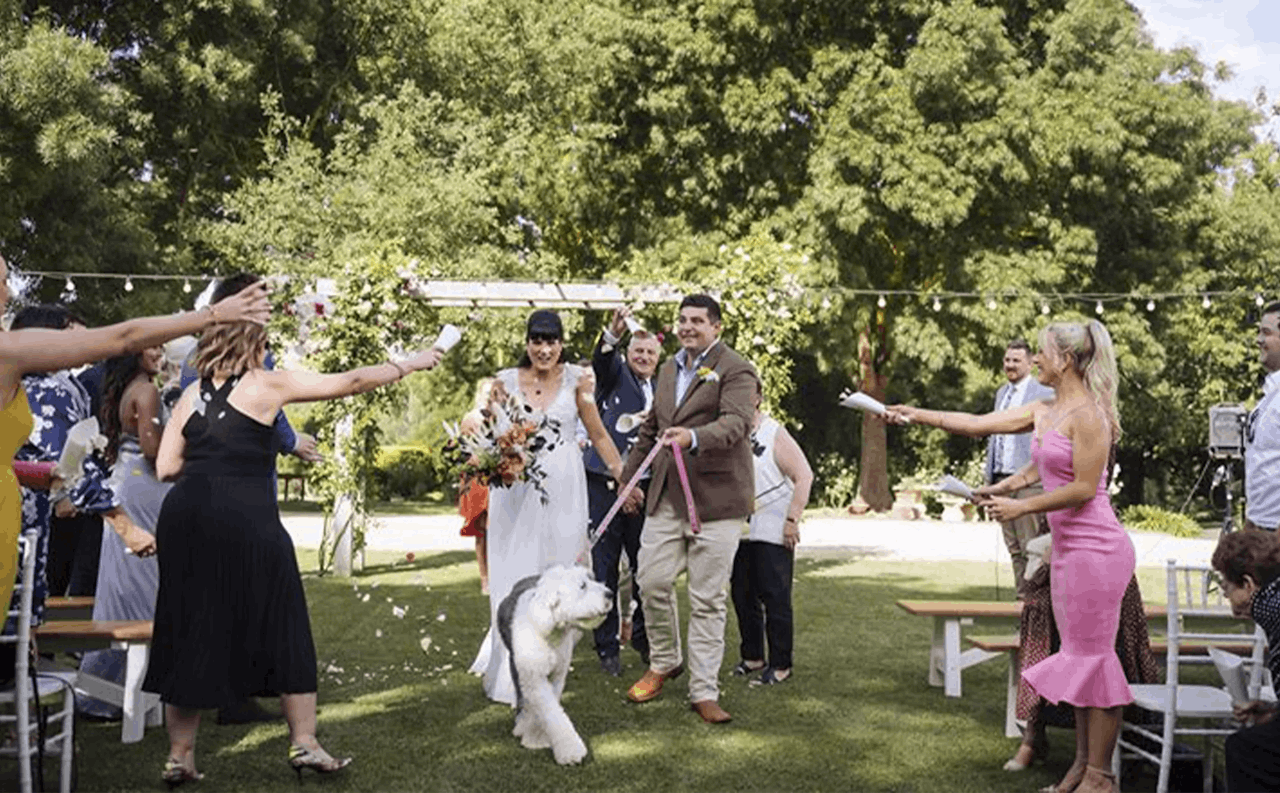 Pets at Weddings with Yarra Valley Pet Resort