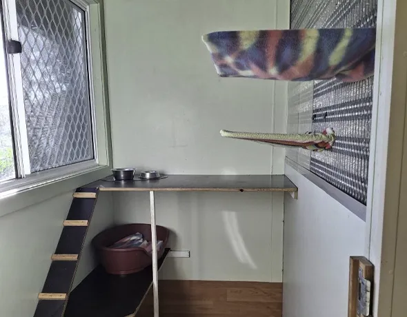 Hilton Cat Room Tallowood Lodge