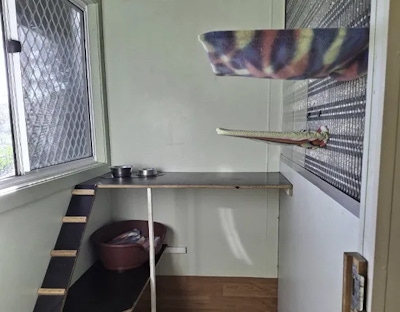 A hilton cat room with double story features at Tallowood Lodge in Lake Innes