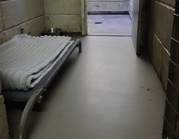 A standard dog boarding room at Tallowood Lodge