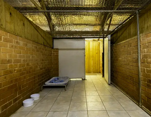 Large Dog Room Executive or Presidential