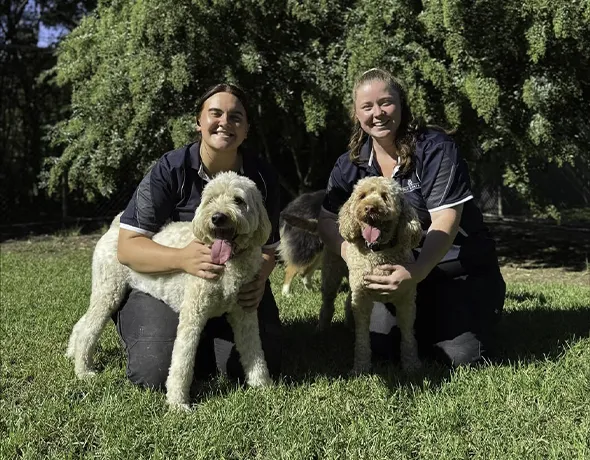 Professional pet nannies care for your special pets