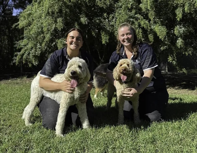 two professional pet carers play with two dogs in the green yard at Dural dog boarding facility - Pet Resorts Australia Dural