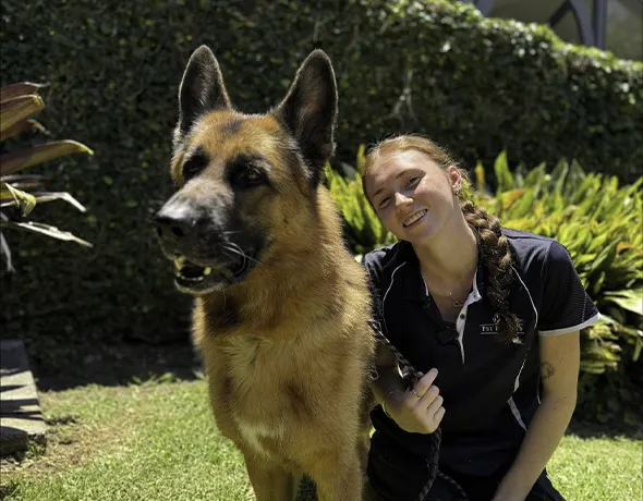 Big dog boarding expert care