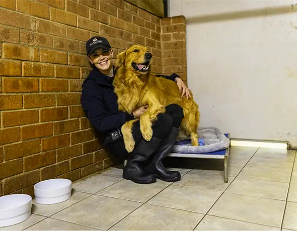 Presidential Room for Large Dogs at Pet Resorts Dural
