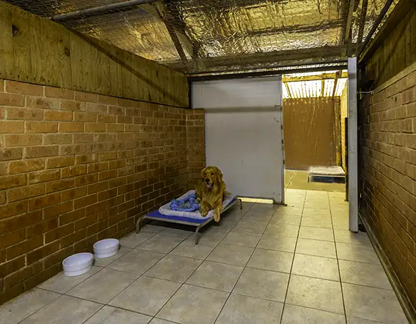Executive Room at Pet Resorts Australia Dural