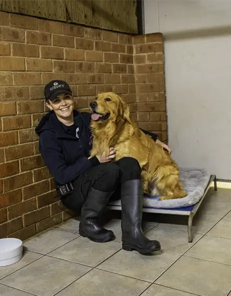 Dog Boarding at Pet Resorts Australia Dural Large Dog in Executive or Presidential package room