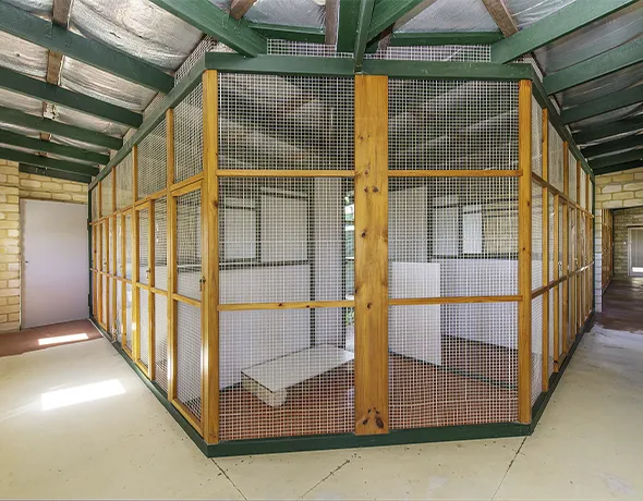 Camelot Pet Resort Cattery