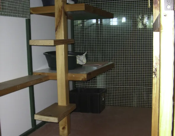 cat boarding room